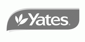 Yates